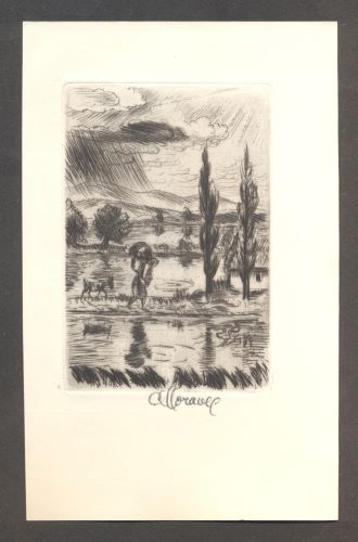 Sova - ANTONÍNU SOVOVI KYTKA POLNÍHO KVÍTÍ Z PACOVA 1958.