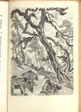 FONHUS, MIKKEL: DOBRODRUŽSTVÍ LESŮ. - 1947.