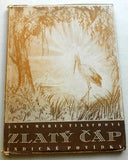 TILSCHOVÁ; ANNA MARIE: ZLATÝ ČÁP. - Indické povídky. Dobročinný komitét v Brně. Obrázky M. ŠIMKOVÁ-ELGROVÁ.