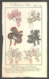 Modes de Paris, ručně kolorovaná rytina, no. 56 / 595 - 1.pol. 19. st.
