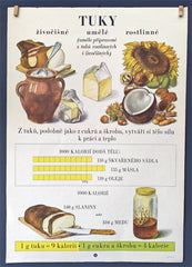ŠKOLNÍ TABULE. VÝŽIVA. 1954 - TUKY.