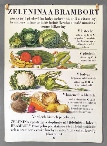 ŠKOLNÍ TABULE. VÝŽIVA 1954. - ZELENINA A BRAMBORY.