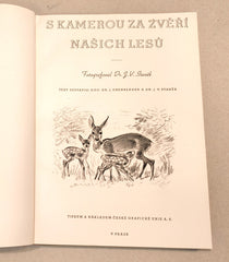 STANĚK, J. V.: S KAMEROU ZA ZVĚŘÍ NAŠICH LESŮ. - 1940.