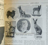 Svět zvířat. - 1906, roč. X., IX.