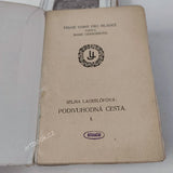 LAGERLÖFOVÁ, SELMA: PODIVUHODNÁ CESTA NILSE HOLGERSSONA S DIVOKÝMI HUSAMI ŠVÉDSKÉM. I. a II. díl. - (1913).