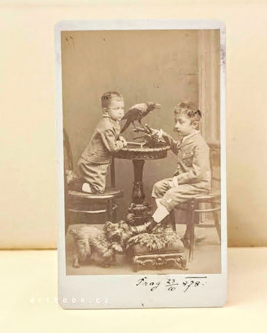 Portrét dvou chlapců s havranem na stole a malým psíkem u nohou. Ateliér H. Eckert &amp; J. Müller’n. Praha. 23.10.1878.