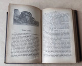 Vlastimila Zabranská. Nejnovějši ČESKÁ KUCHAŘKA. - (1883).