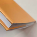 Skácel, Jan: Chyba broskví. Il. Jaromír Gargulák, 2006.