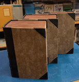 Karla Havlíčka Borovského Politické spisy. I. a II. díl, 1901-1902.