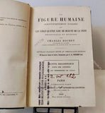 Charles Rochet. La Figure Humaine scientifiquement étudiée, ou Les vingt-quatre lois de beauté de la tête.