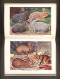 WULF, ARTHUR: SCHREIBERS ATLAS DER  KLEINEN WIRTSCHAFTSSÄUGETIERE. - (1921).