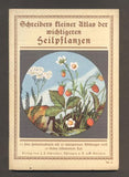 SCHREIBERS KLEINER ATLAS DER WICHTIGEREN HEIPLFLANZEN.