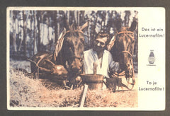 GUSTAV NEZVAL - JAN CIMBURA. - 1941.