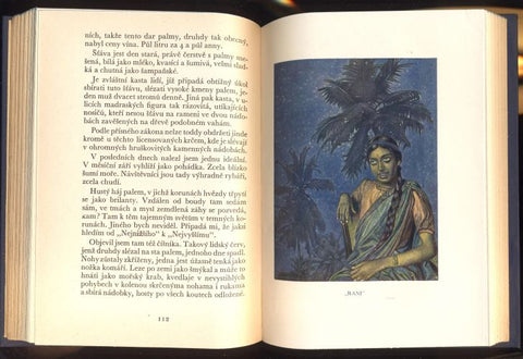 HNĚVKOVSKÝ, JAROSLAV: MALÍŘOVY LISTY Z INDIE. Díl II. - 1927.