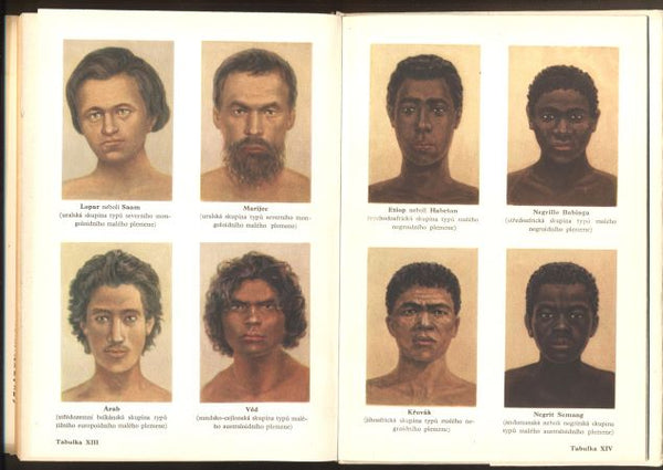 NĚSTURCH, MICHAIL FEDOROVIČ: LIDSKÉ RASY. - 1966. – Antikvariát Pražský ...