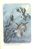 Štáfl - KARAFIÁT; JAN: BROUČCI. - 1941.