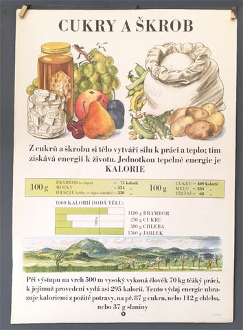 ŠKOLNÍ TABULE. VÝŽIVA. 1954 - CUKRY A ŠKROB.