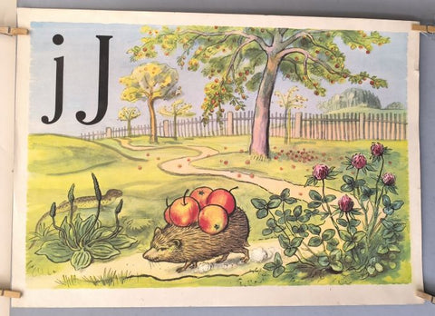 ŽIVÁ ABECEDA - J -. Učební pomůcka pro školy I. stupně. - 1953.