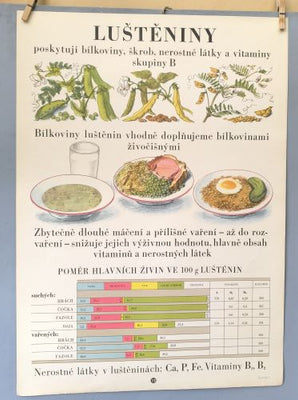 ŠKOLNÍ TABULE. VÝŽIVA 1954.  - LUŠTĚNINY.