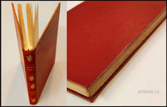 BÉM, EDVARD: NEZNÁMÁ POUT. - 1928. Kožená vazba; sign. A. MALÍK-PRAHA.