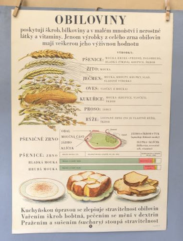 TABULE O VÝŽIVĚ - OBILOVINY. - 1954.