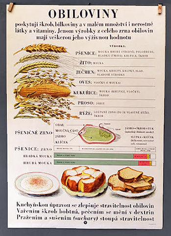 ŠKOLNÍ TABULE. VÝŽIVA. 1954. - OBILOVINY.