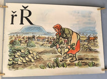 ŽIVÁ ABECEDA - Ř. Učební pomůcka pro školy I. stupně. 1953.