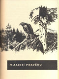 Burian - LUSKAČ, RUDOLF: ZÁVOJ ZELENÉHO TICHA. - 1969.