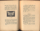 POTŮČEK, ADOLF: HEDVÁBNICTVÍ A PĚSTOVÁNÍ STROMŮ MORUŠOVÝCH. - 1894.