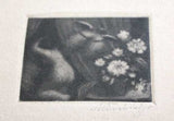 ŠVABINSKÝ; MAX: BÍLÁ KAMELIE. - 1910. Mezzotinta; 37x46; sign. M. Švabinský. Rozměry pap. 318x243.