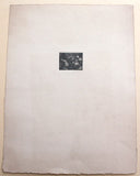 ŠVABINSKÝ; MAX: BÍLÁ KAMELIE. - 1910. Mezzotinta; 37x46; sign. M. Švabinský. Rozměry pap. 318x243.
