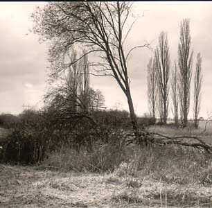 Litožnice. Bromostříbrná fotografie; kontakt; 55x105; velikost pap. 87x120.