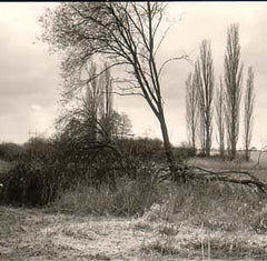 HELBICH; PETR.  - Litožnice. Bromostříbrná fotografie; kontakt; 55x105; velikost pap. 87x120.