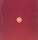 1913. DYRYNK; BRADÁČ; V. H. BRUNNER; celokož. vazba; ochranné pouzdro; kubismus.