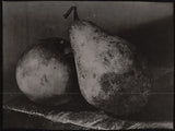 Kol. r. 1954. Fotografie; kontakt 120x156; papír 150x200; signováno.