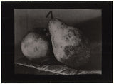 SUDEK; JOSEF. ZÁTIŠÍ S JABLKEM A HRUŠKOU. - Kol. r. 1954. Fotografie; kontakt 120x156; papír 150x200; signováno.