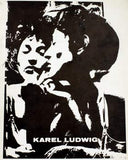 LUDWIG; KAREL. - 1980. Edice mezinárodní fotografie. Obálka a typo LIBOR FÁRA; text V. Chochola.