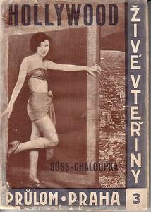 1928. Fotomont. obálka.