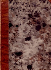 JIŘÍK; F. X.: VÝVOJ MALÍŘSTVÍ ČESKÉHO VE STOL. XIX. - 1909.