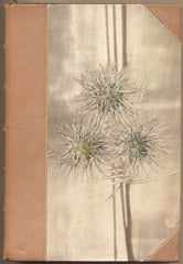 HLOUCHA; JOE: SAKURA VE VICHŘICI. - 1930. Reprodukce HIROŠIGE.
