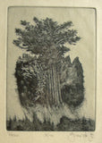 VETERNO - Lept; 32/100; sign. 1980. 215x150; pasparta; sklo; rám. 390x300 /grafika/