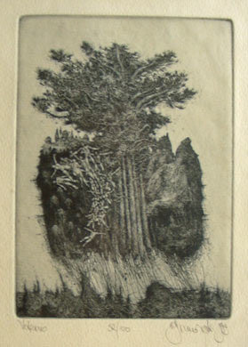 VETERNO - Lept; 32/100; sign. 1980. 215x150; pasparta; sklo; rám. 390x300 /grafika/