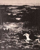 (1910). 290x230. Orig. dřevoryt na japanu; vpravo dole sign. /g/