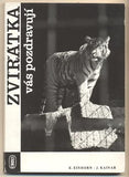 1964. Foto EINHORN; text KAINAR. /ZOO/