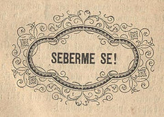 (Antonín Kotík) - PLÁČ KORUNY ČESKÉ čili upřímná slova Staro-Čecha - 1866. Antonín Kotík; Josef Václav Frič; politika; samostatnost.