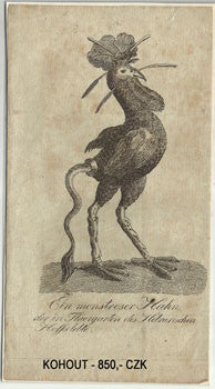  Mědirytiny; pol. 19. st. /grafika/