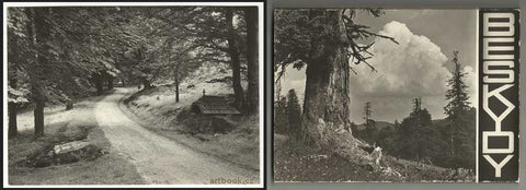1963. Soubor 12 pohlednic; bromografie; Sudek (1x). REZERVACE 8.3.2016 9:58:19  