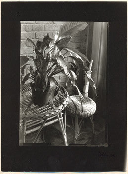 Bromostříbrná fotografie. kontakt; 175x125;  pap. 240x175.