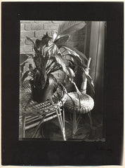 HELBICH; PETR. - Bromostříbrná fotografie. kontakt; 175x125;  pap. 240x175.