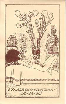 Zinkografie (cliche); cca 1920; 150x90.